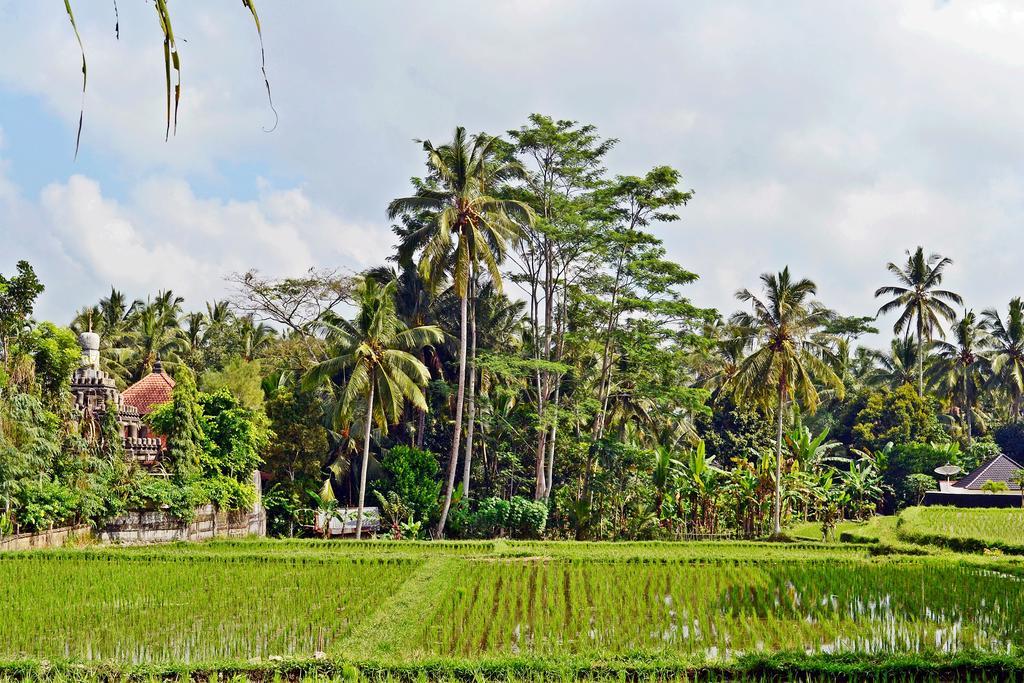 Ubud Kartini Hostel Exterior photo
