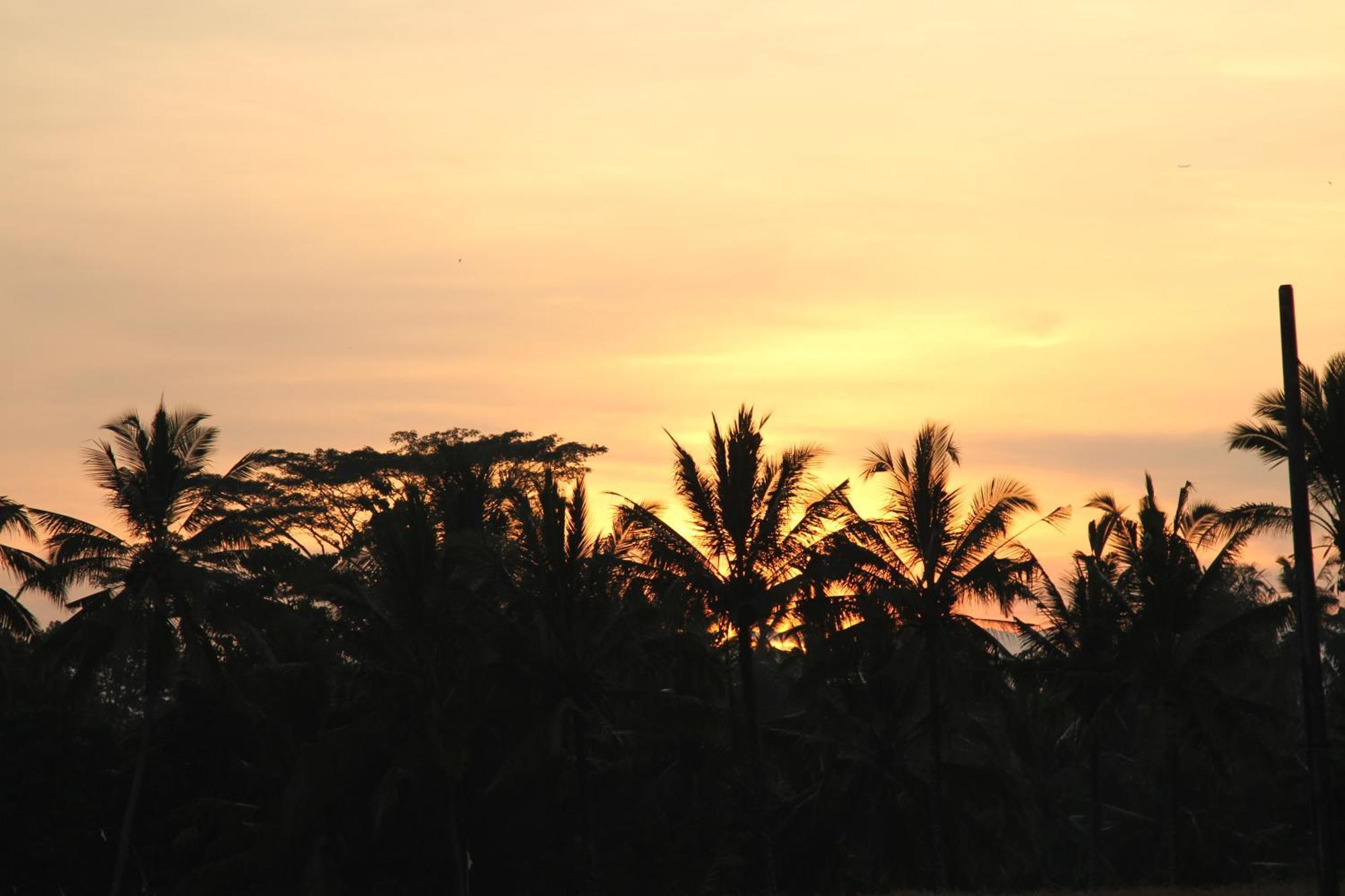 Ubud Kartini Hostel Exterior photo
