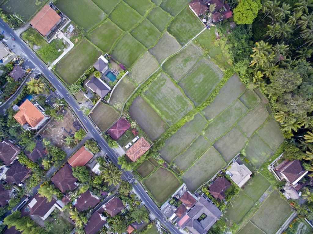 Ubud Kartini Hostel Exterior photo